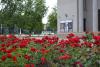 Daugavpils