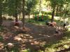 Natur