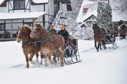 Zirgu sēta "Klajumi"