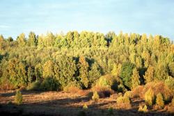 View of Latgale