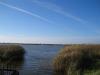 Īdeņas ponds