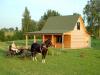 Farm 