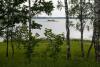 Viesu māja 