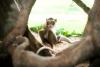 Latgales ZOO